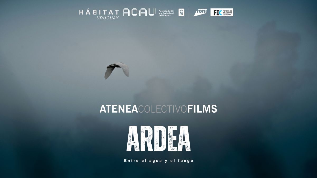 Capítulo 1: Ardea
