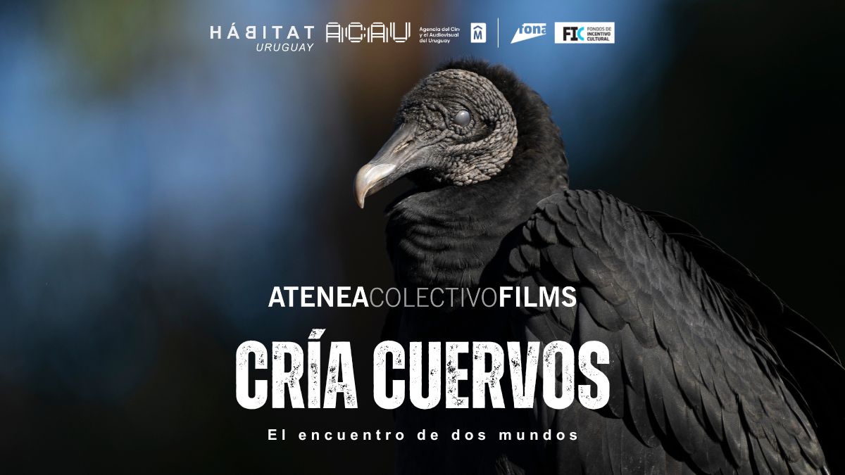 Capítulo 2: Cría cuervos