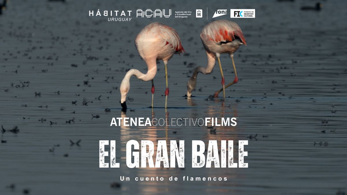 Capítulo 3: El gran baile