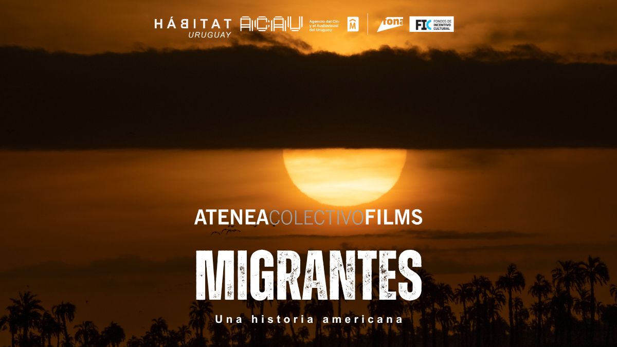 Capítulo 5: Migrantes