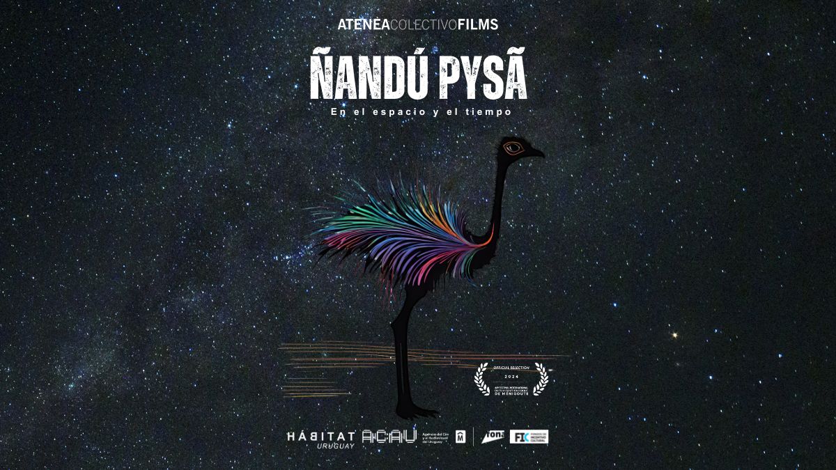 Capítulo 6: Ñandú Pysã