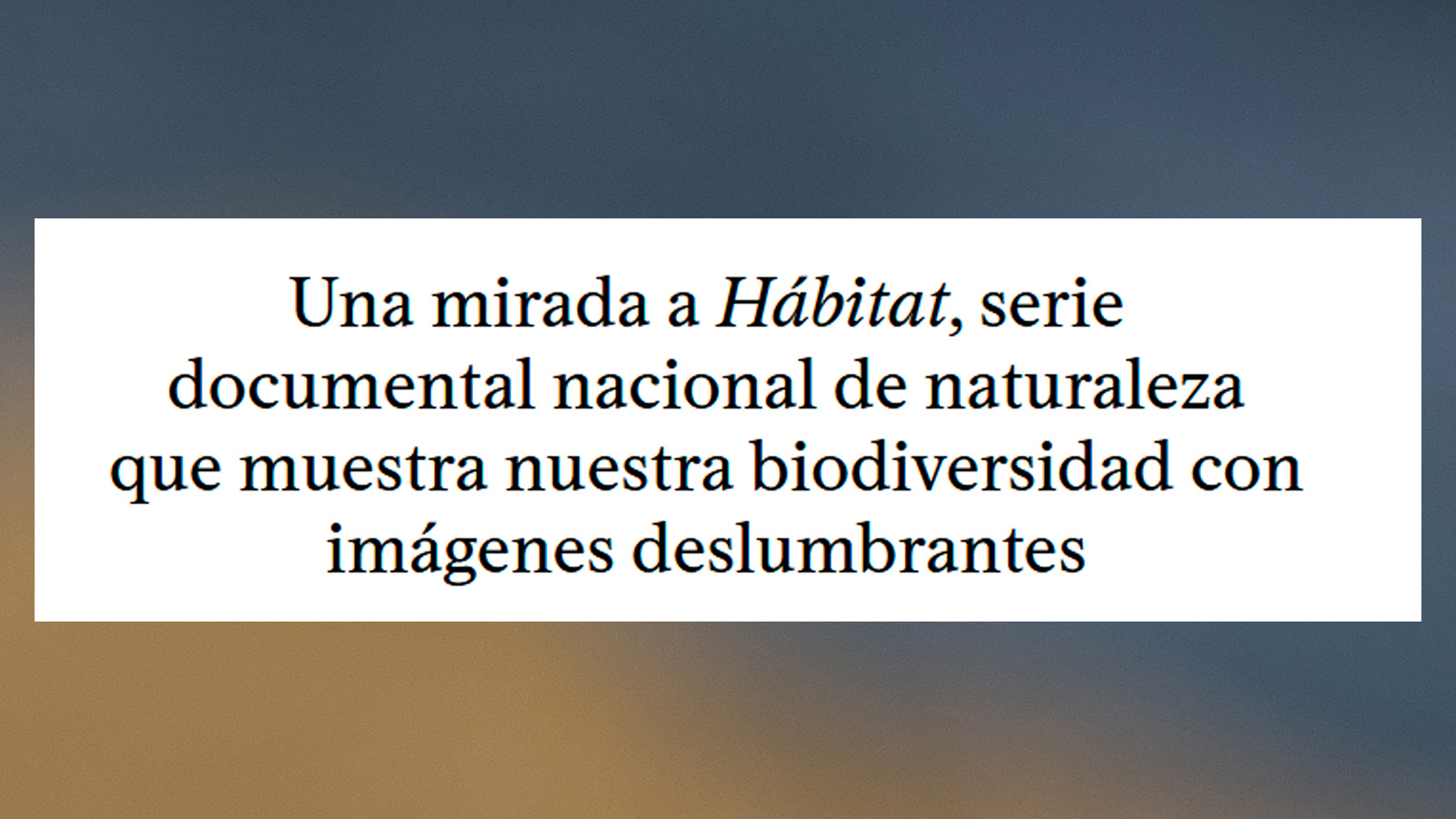 Voltear la mirada antropocéntrica